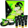 shunga-kit-secretos-de-una-geisha