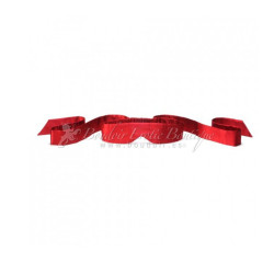 Lelo-Intima-Red