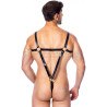 Body-Male-Harness