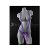 dillio-arnes-con-dildo-de-19-cm-color-purpura