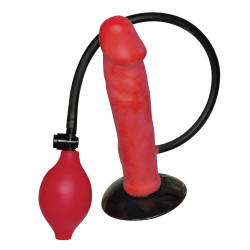 Red Inflatable Vibrator