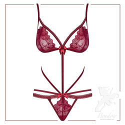 wonderia-obsessive-teddy-ruby-front