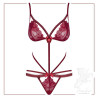 wonderia-obsessive-teddy-ruby-front
