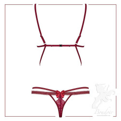 wonderia-obsessive-teddy-ruby-back