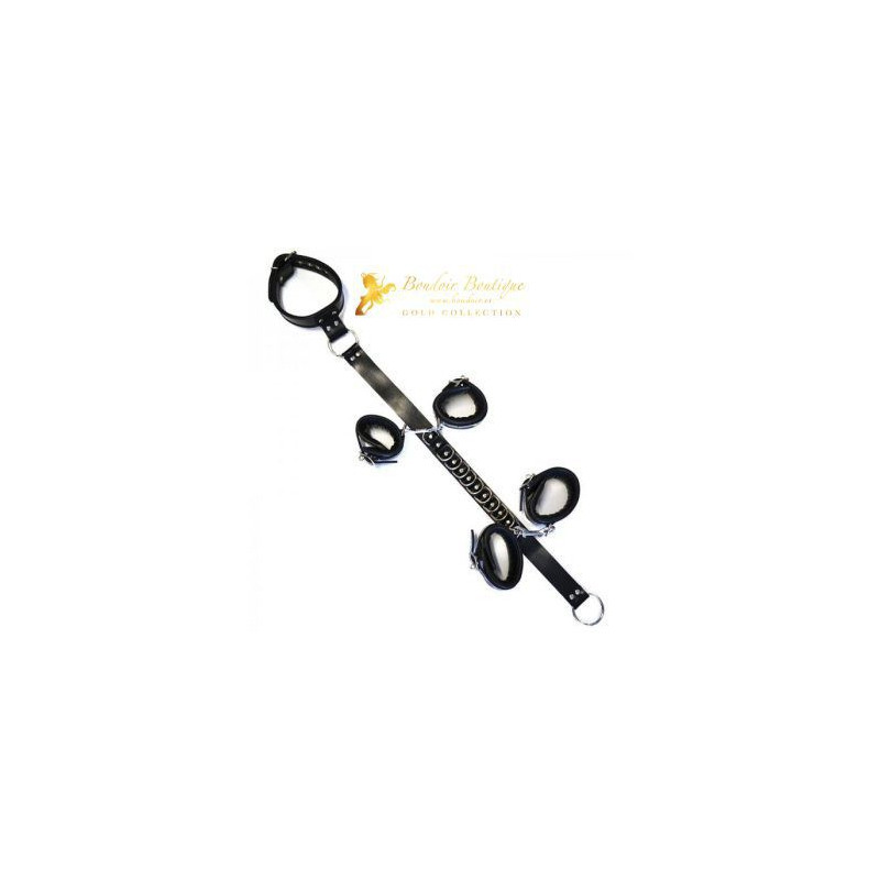 ROUGE-LEATHER-D-RING-HOG-TIE