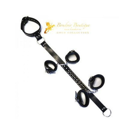 ROUGE-LEATHER-D-RING-HOG-TIE