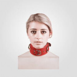rouge_leather_collar_with_rings (3)