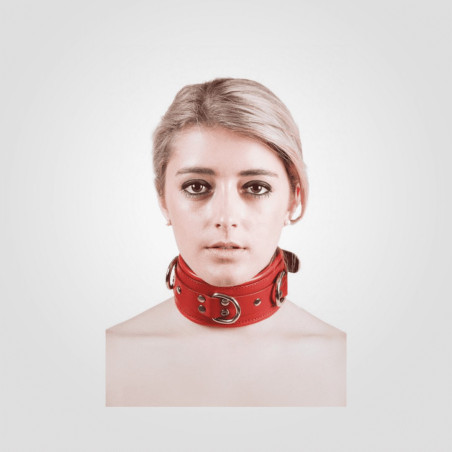 rouge_leather_collar_with_rings (3)