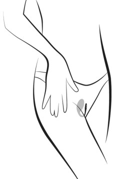 We vibe Jive app control egg