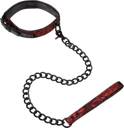 Scandal Collar with Leash