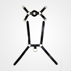 Dominus Harness