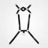 Dominus Harness