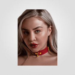 taboom_d_ring_collar_deluxe2