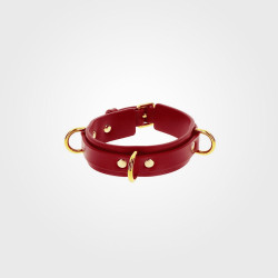 taboom_d_ring_collar_deluxe1