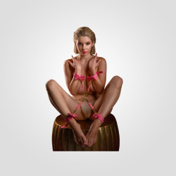 taboom_malibu_hogtie3