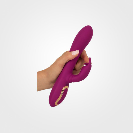 javida_rotating_rabbit1