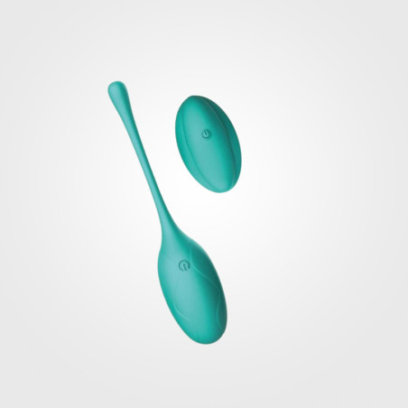 Remote_control_vibrating_egg_1