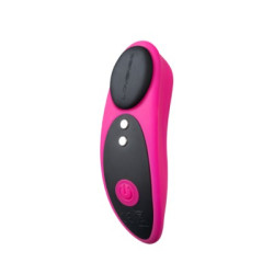 Lovense Ferri Panty Vibrator