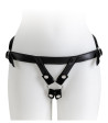 virgite-universal-harness