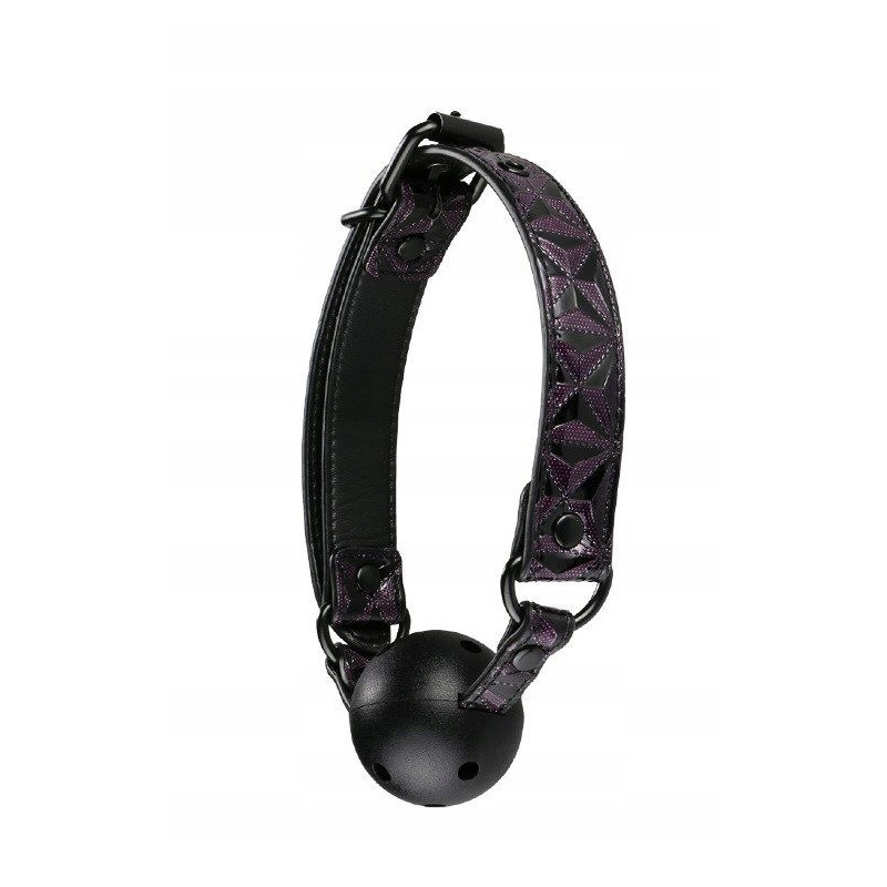 blaze-ball-gag-lila