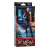 scandal-13043-halter-lace-bodystocking-box