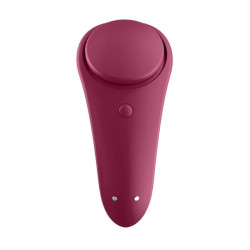 satisfyer-sexy-secret-panty