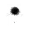Mini-Black-Duster