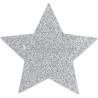 bijoux-indiscrets-star-silver