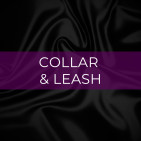 Collar & Leash