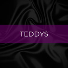 Teddys / Bodysuits