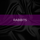 Rabbits